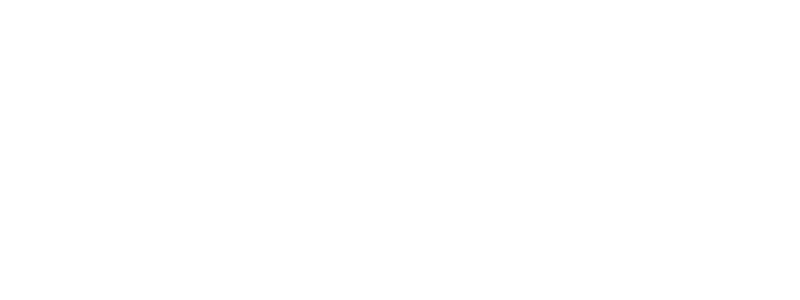 Debyshire County Council